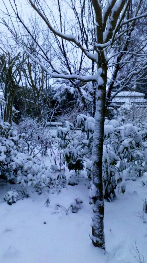 Mountain Ash Bed and Breakfast Horncastle  Exteriör bild